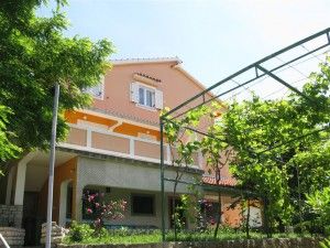 objects/1485/99937_andrija 23.jpg